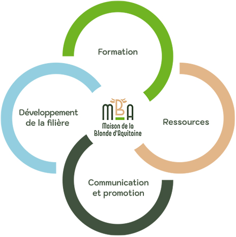 Formation, Développement de la filière, Ressources, Communication et promotion